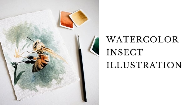 Watercolor Insect Illustration