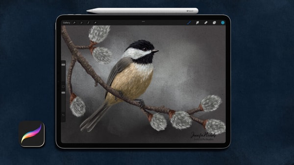 Soft Pastels in Procreate: Learn to Draw Birds by Creating a Gorgeous Chickadee