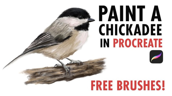 Paint a Chickadee in Procreate - Free Brushes Included!