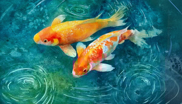 Luminous Koi in Watercolour: Warm vs Cool, Shape and Flow