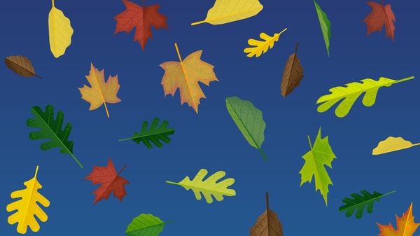Create then Animate: A Fall-Themed Adobe Illustrator, Photoshop, & After Effects Workflow