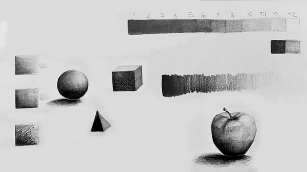 Pencil Drawing Mastery: Tonality, Shading & Hatching Skills