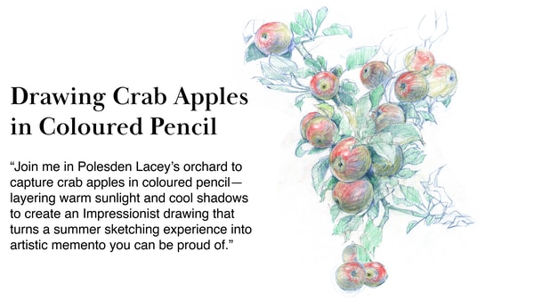 Sketching Summer: Coloured Pencil Crab Apple Workshop at Polesden Lacey