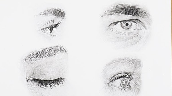 Drawing Made Clear : the Portrait and the Human Body