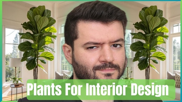 Interior Design Styling With Plants: Plants Grouping & Placement Strategies for Interior Design A-Z