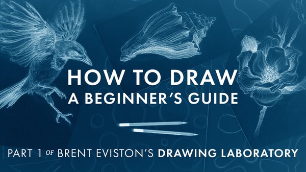 How to Draw: A Beginner’s Guide - Part 1 of The Drawing Laboratory