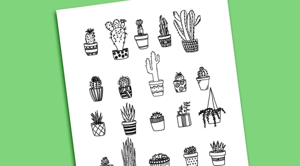 Line Drawing: Cactus & Succulent Edition