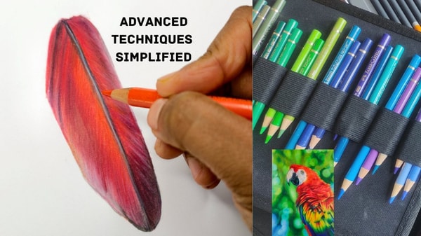 Realistic Bird Feather Techniques with Colored Pencils: Texture Study of a Macaw