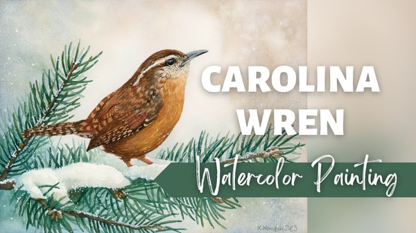 Cozy Winter Watercolor: Paint a Carolina Wren on Pine Branches