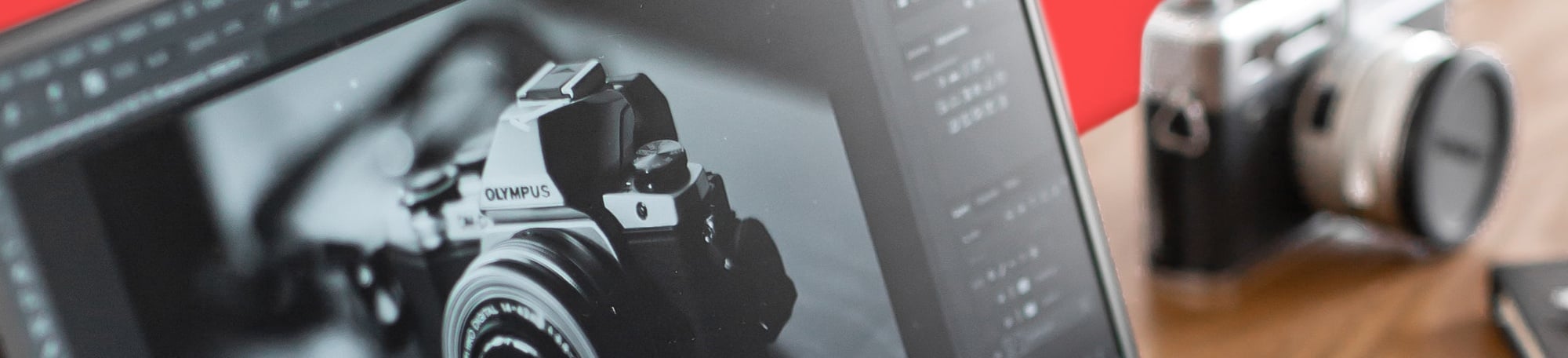 Photoshop Basics: Learn the Ropes and Build Your Skills