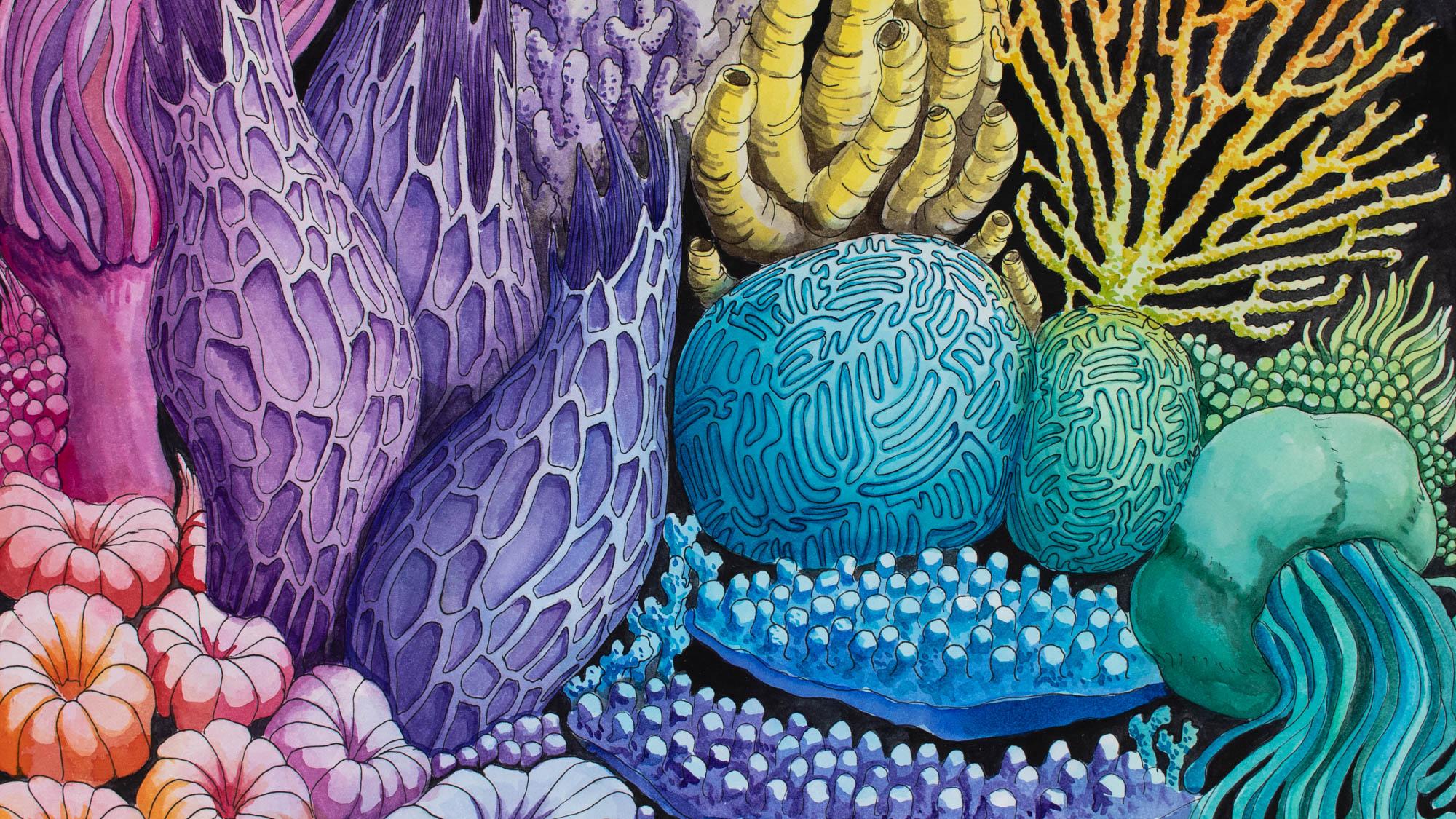 coral reef painting easy