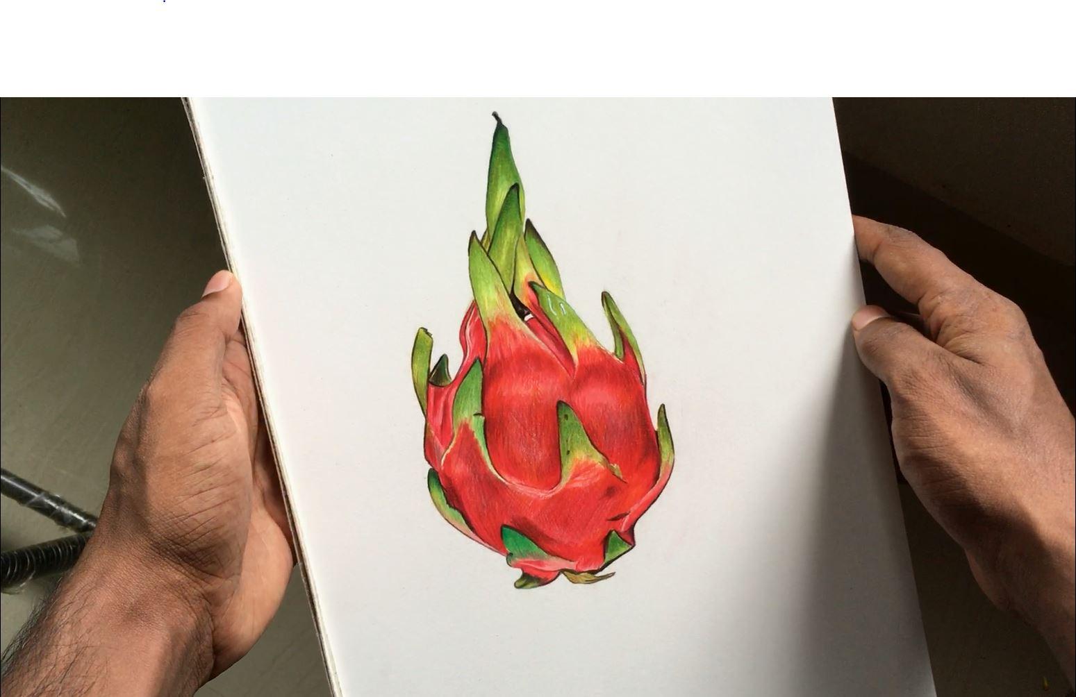 Sketchbook Illustration with Colored Pencils | Sketchbook Illustration  with Colored Pencils (zoe_barker_draws)