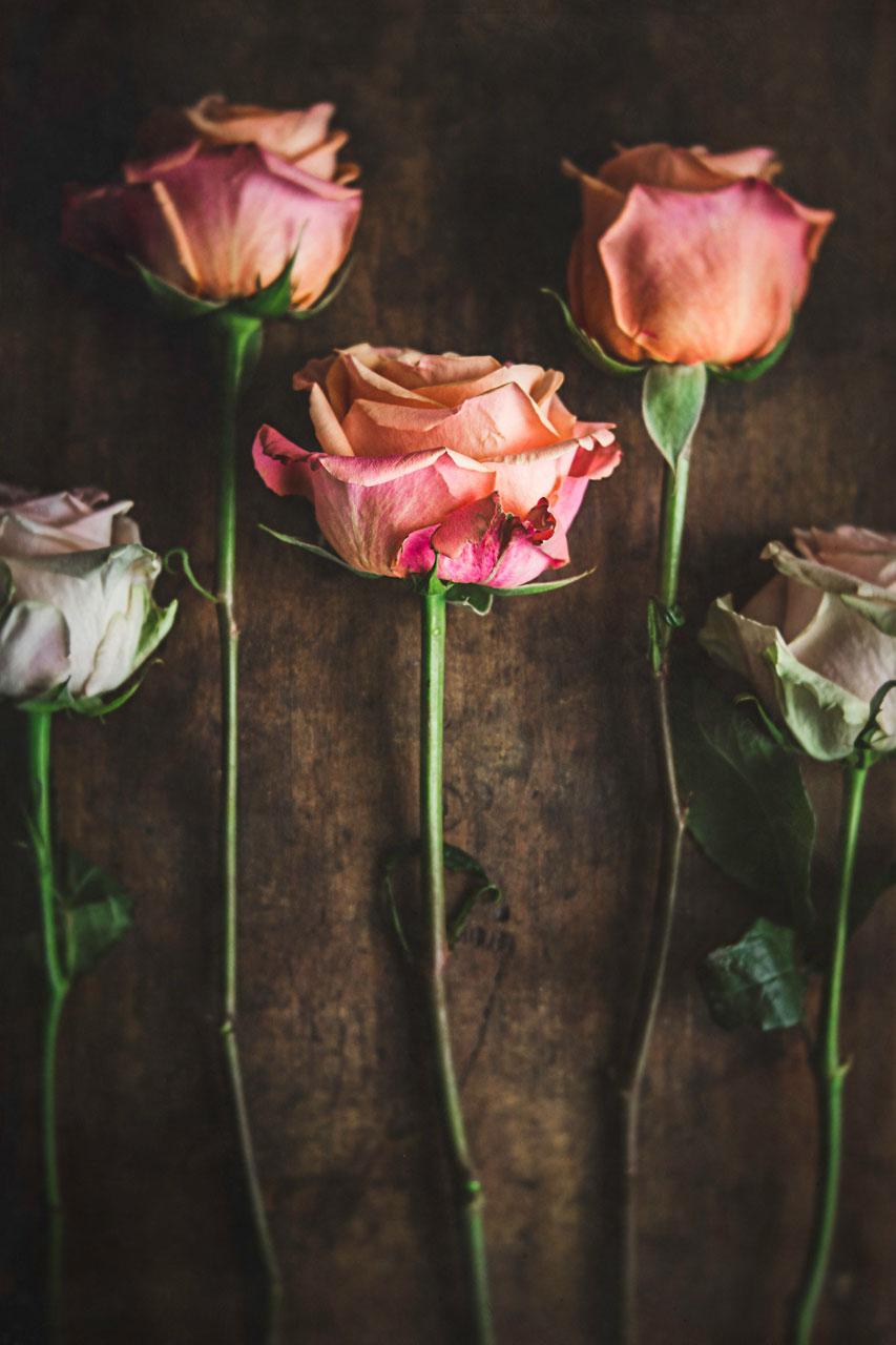 Still Life Photography: Creating A Beautiful Rose Flat lay Photo Using ...