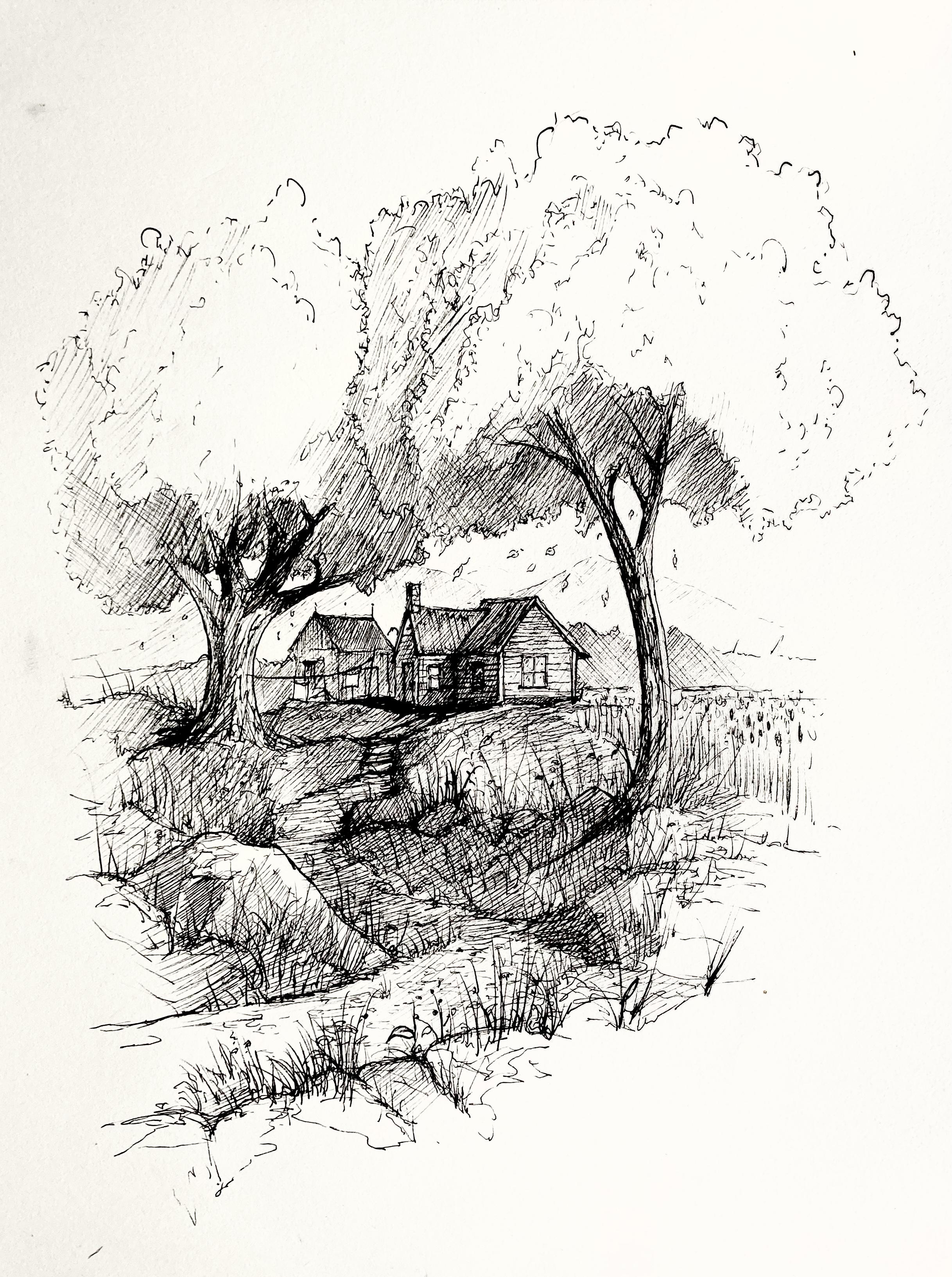 Pen Drawing for Beginners: Permanency, Texture and Composition