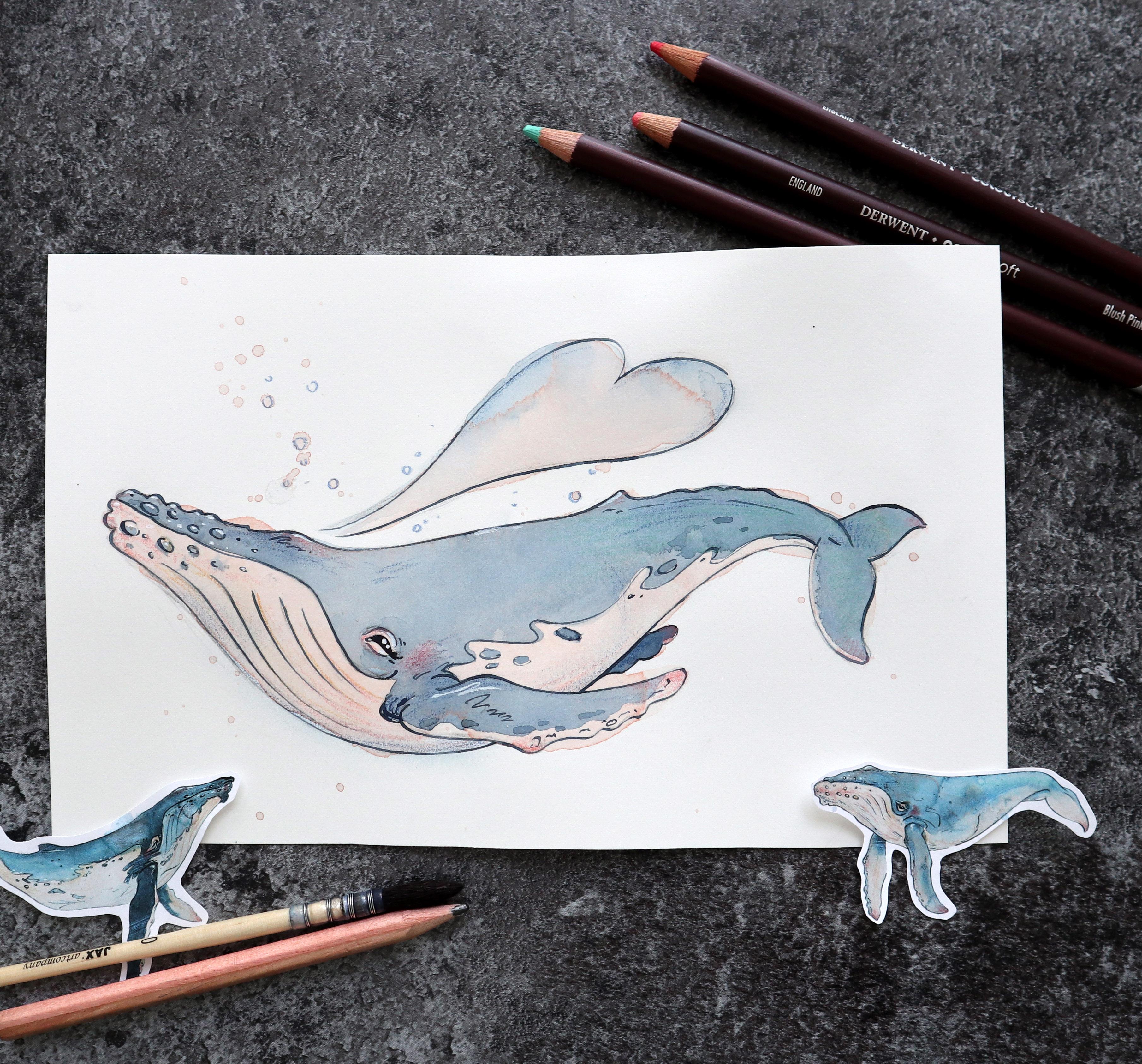 Watercolour brush pen whale