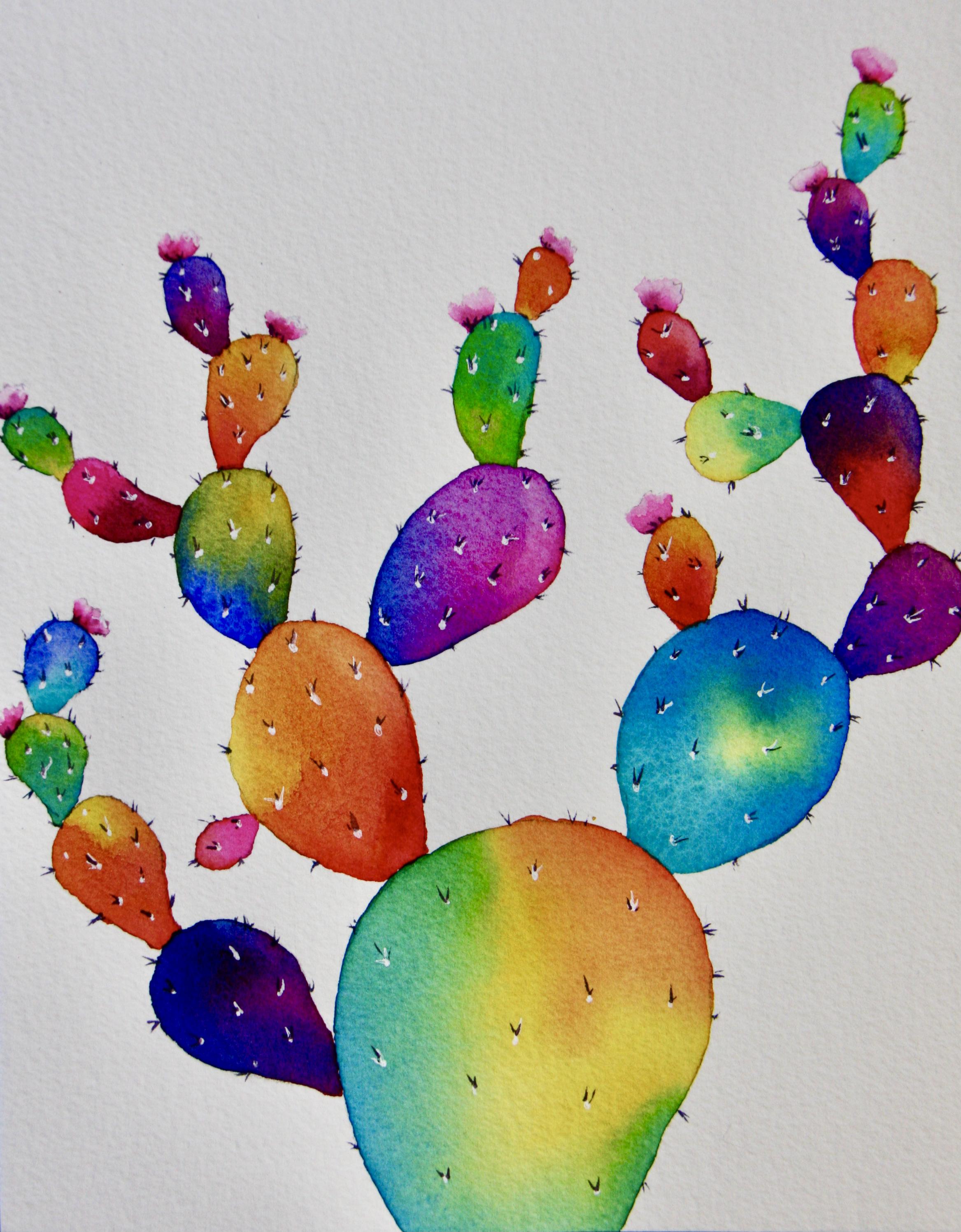 Meineke Rainbow And Cactus - ili4msm