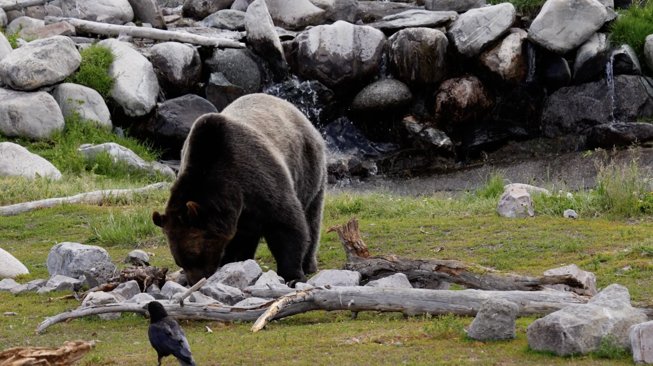کاوش در طبیعت با دفترچه خاطرات