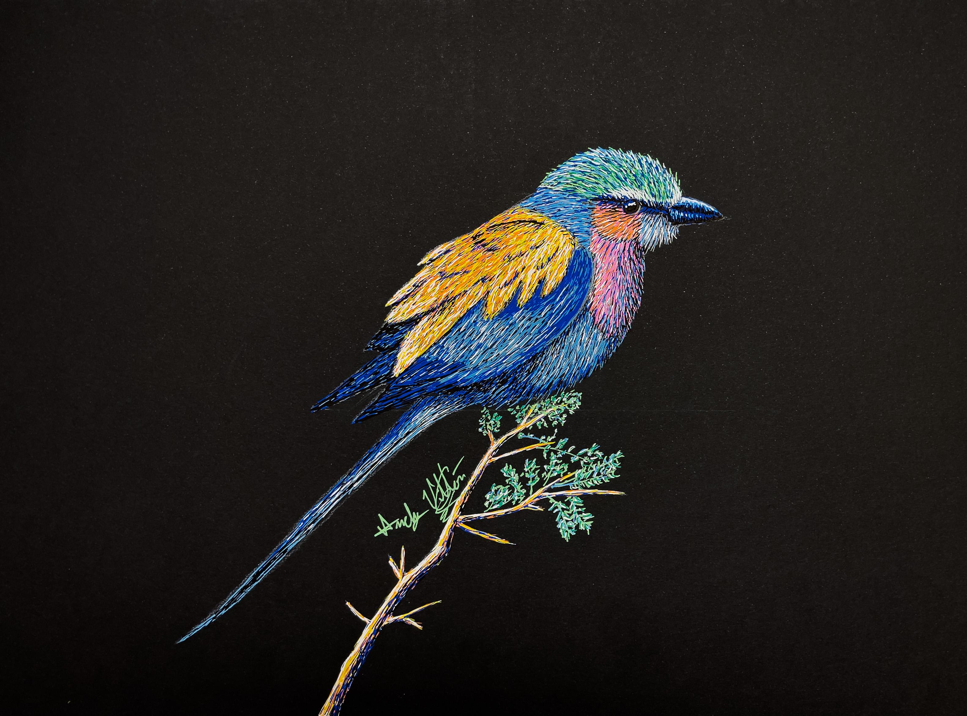 Animal Drawing: Colorful Bird Drawing with Posca Pens - Bird Art for  Beginners - Realistic Art, Andy Villon