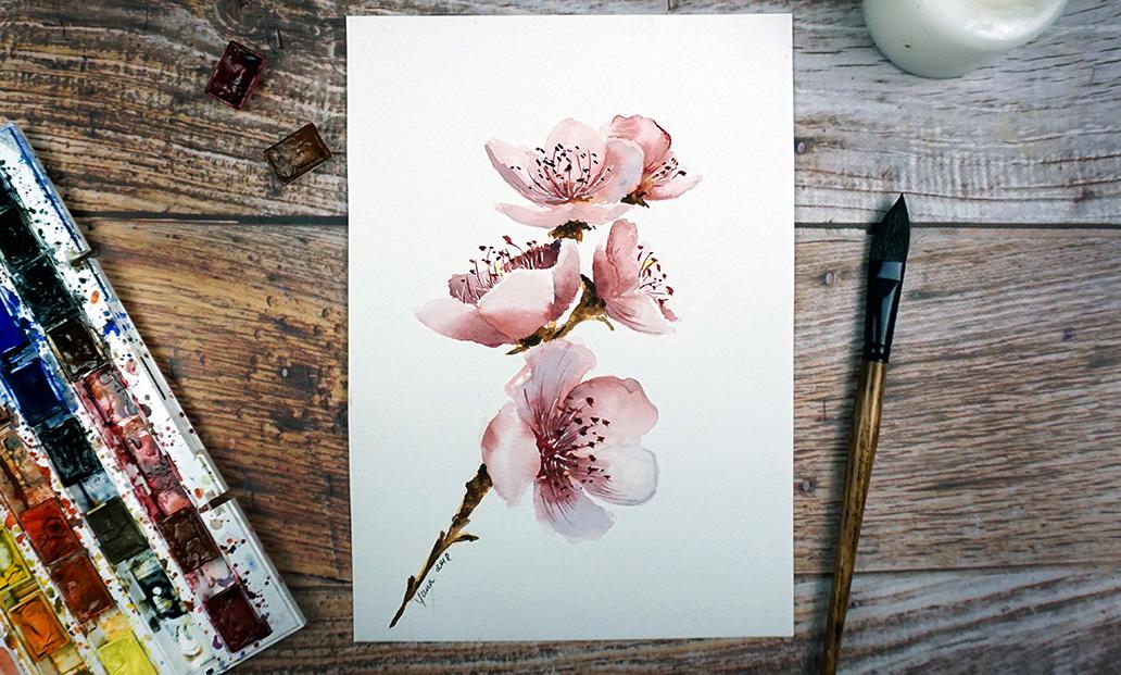 How To Paint Cherry Blossom In Watercolor: Step By Step Guide To ...