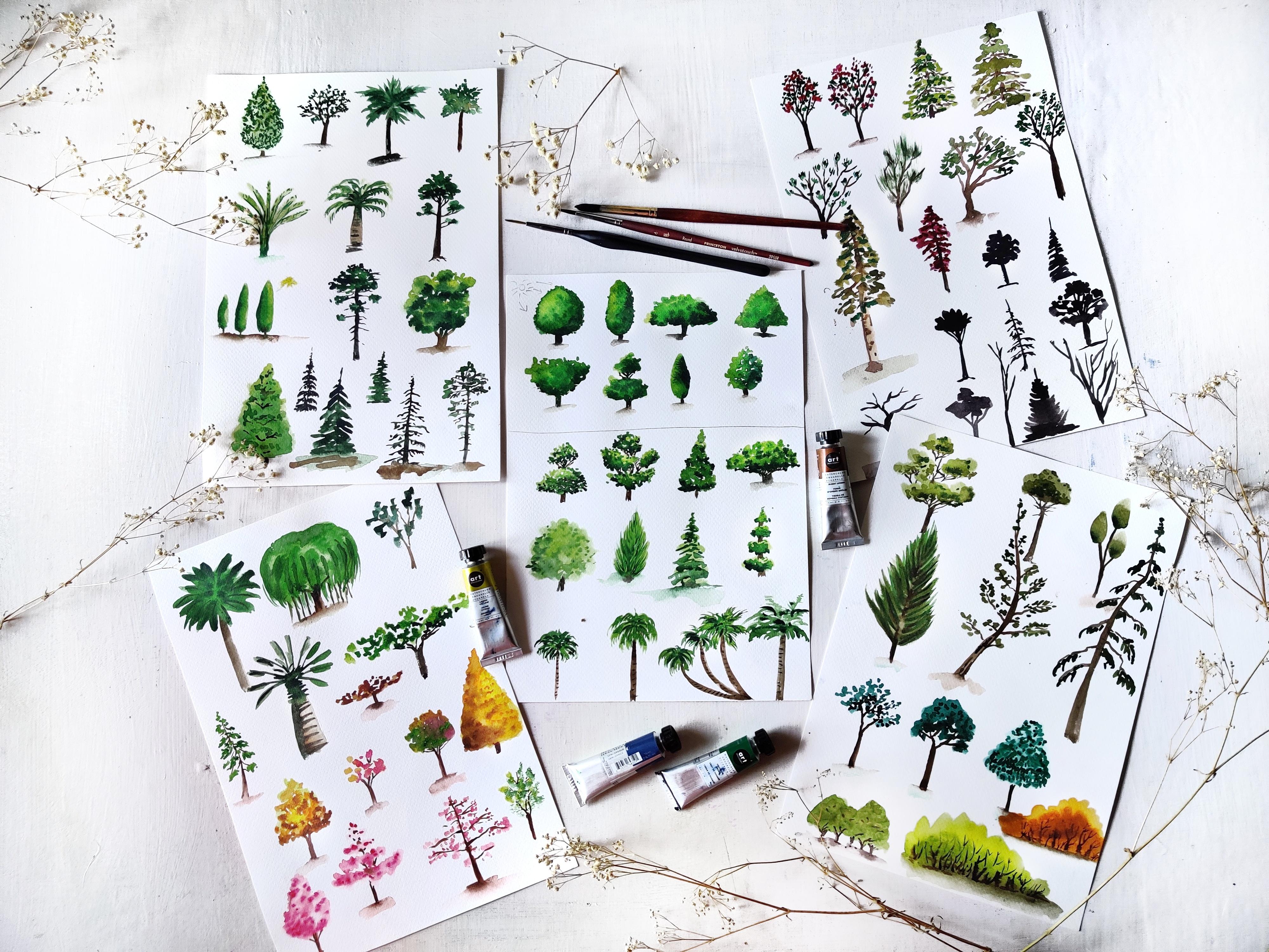 painting-trees-with-watercolor-learn-to-paint-50-types-of-trees