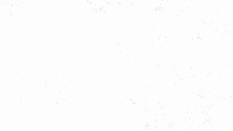 5c49d419.gif