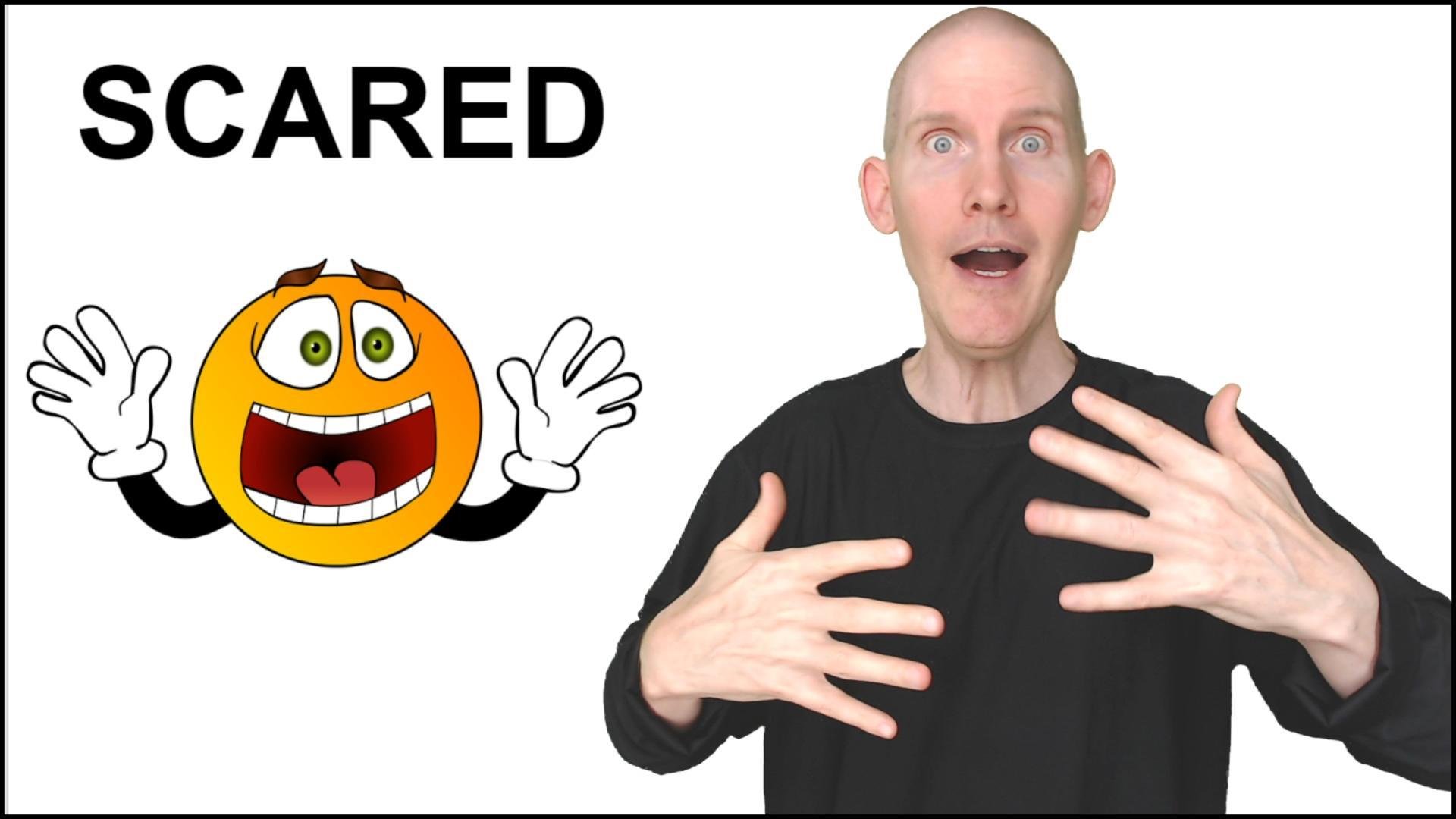 ASL | Pronouns + Vocab + Practice | American Sign Language | Able Lingo