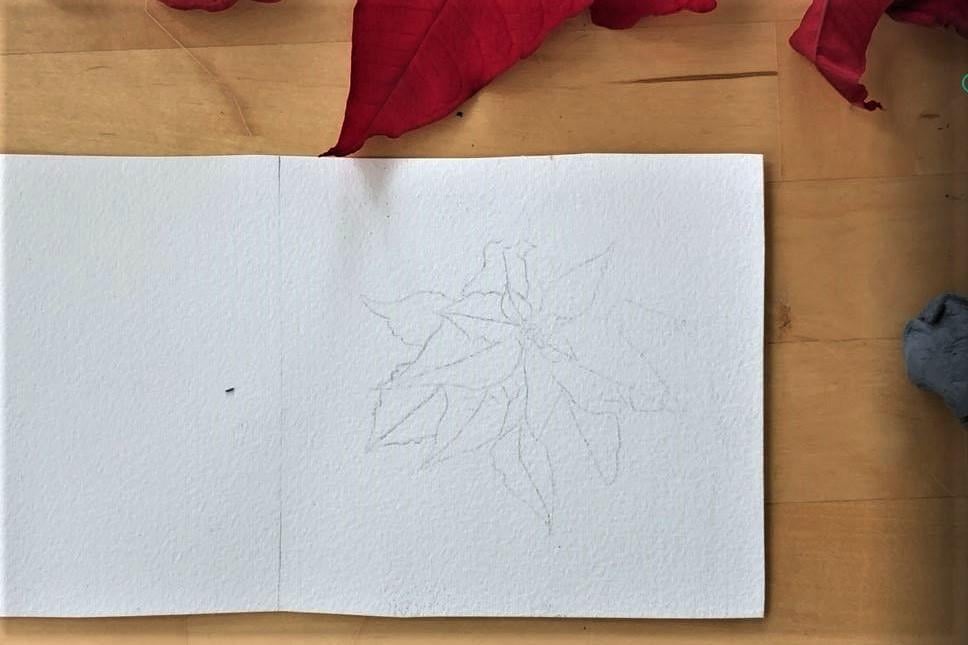 Watercolor Basics Creating and Transferring Line Drawings Digitally