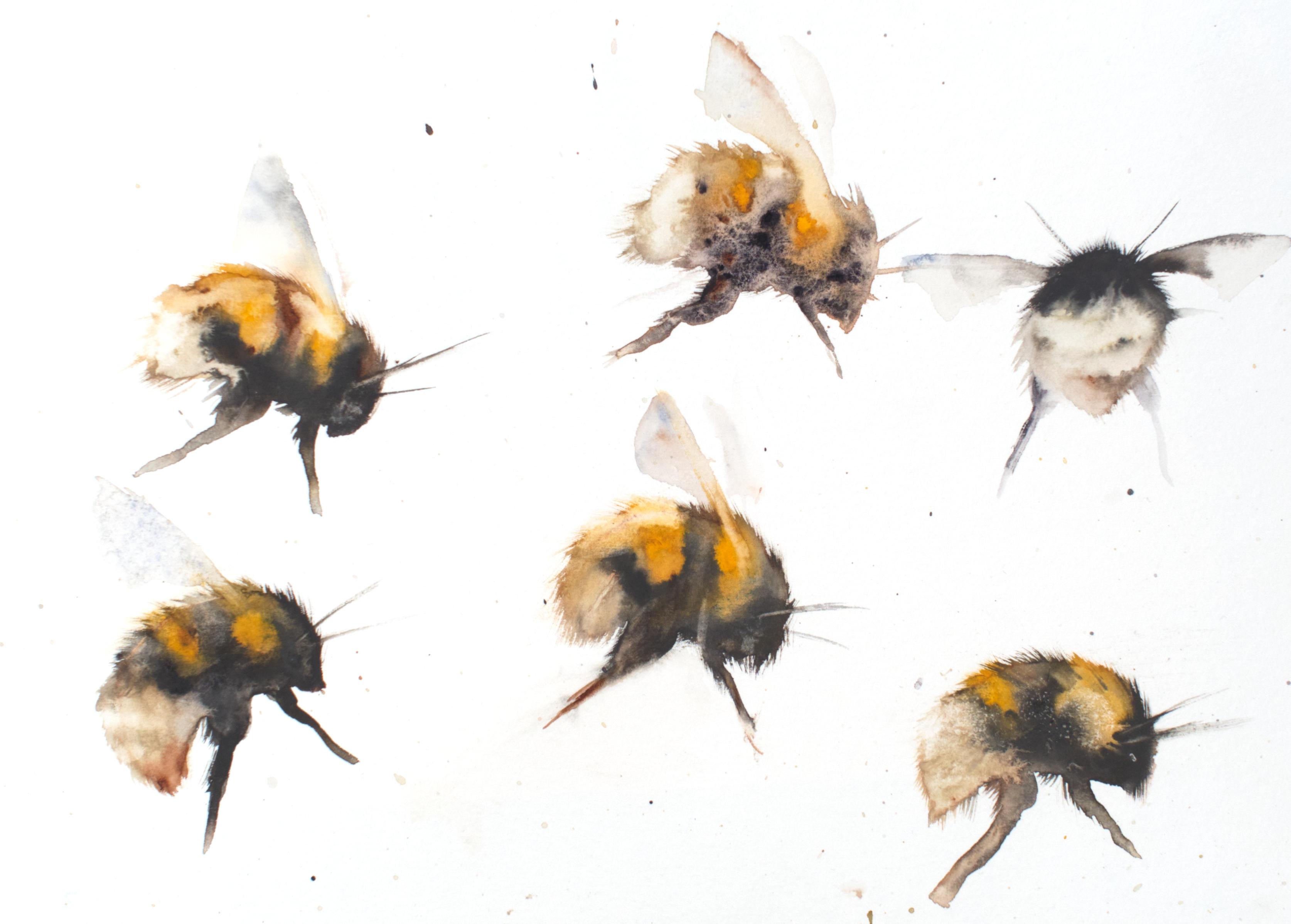 Bumblebee Watercolor Painting, Bumble Bee Painting Easy, Loose