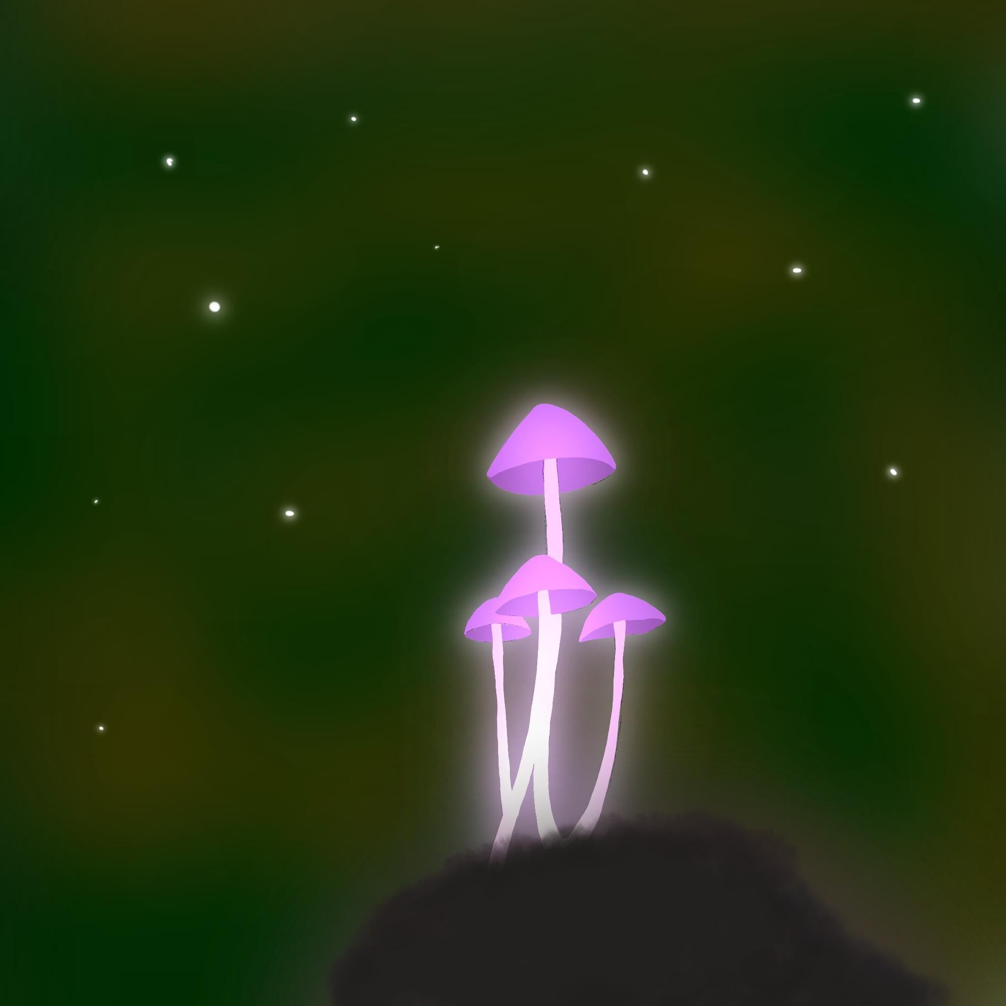 more-projects-from-class-img
