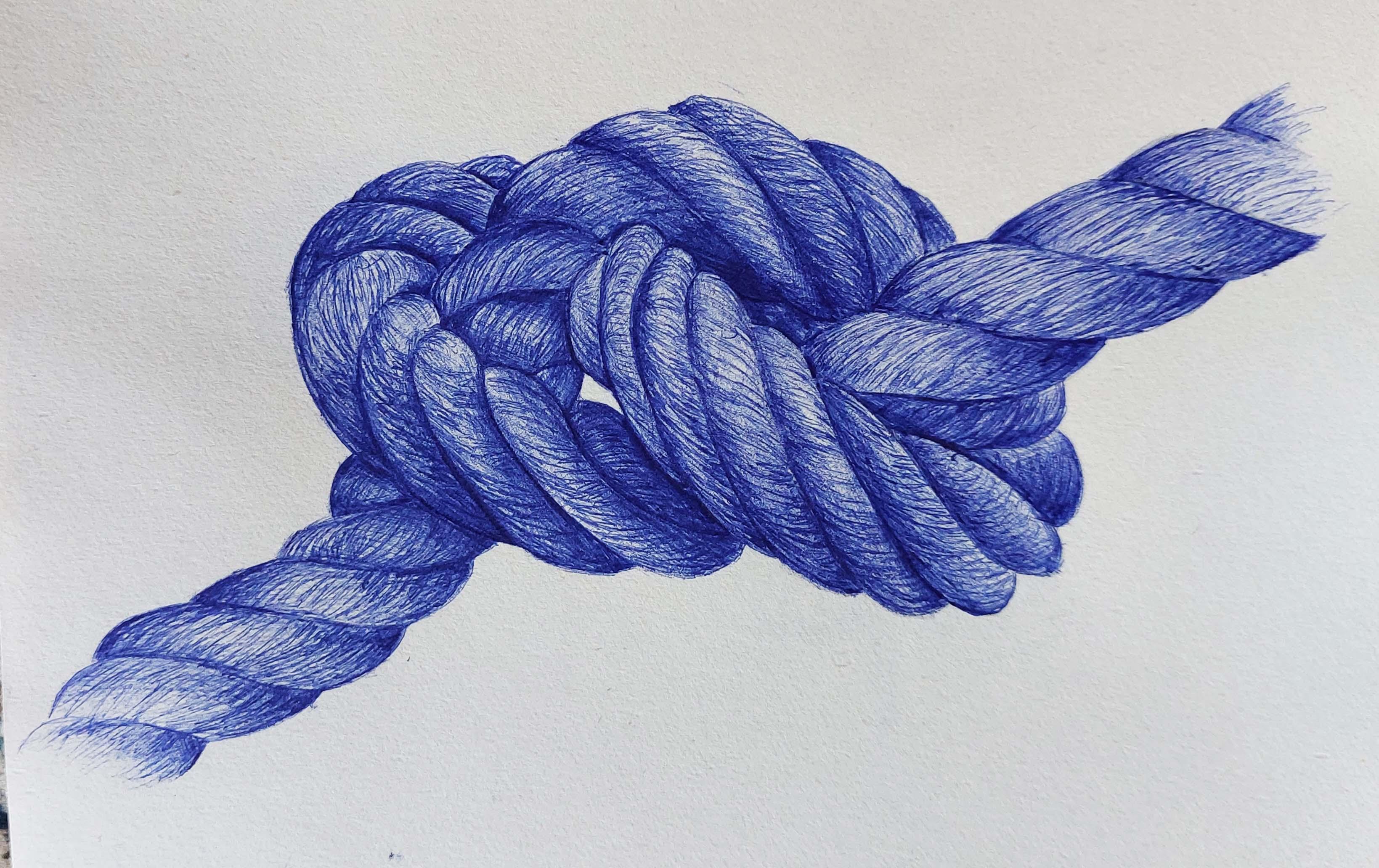 Ultimate Pen Drawing Class Beginner to Intermediate Amelie Braun