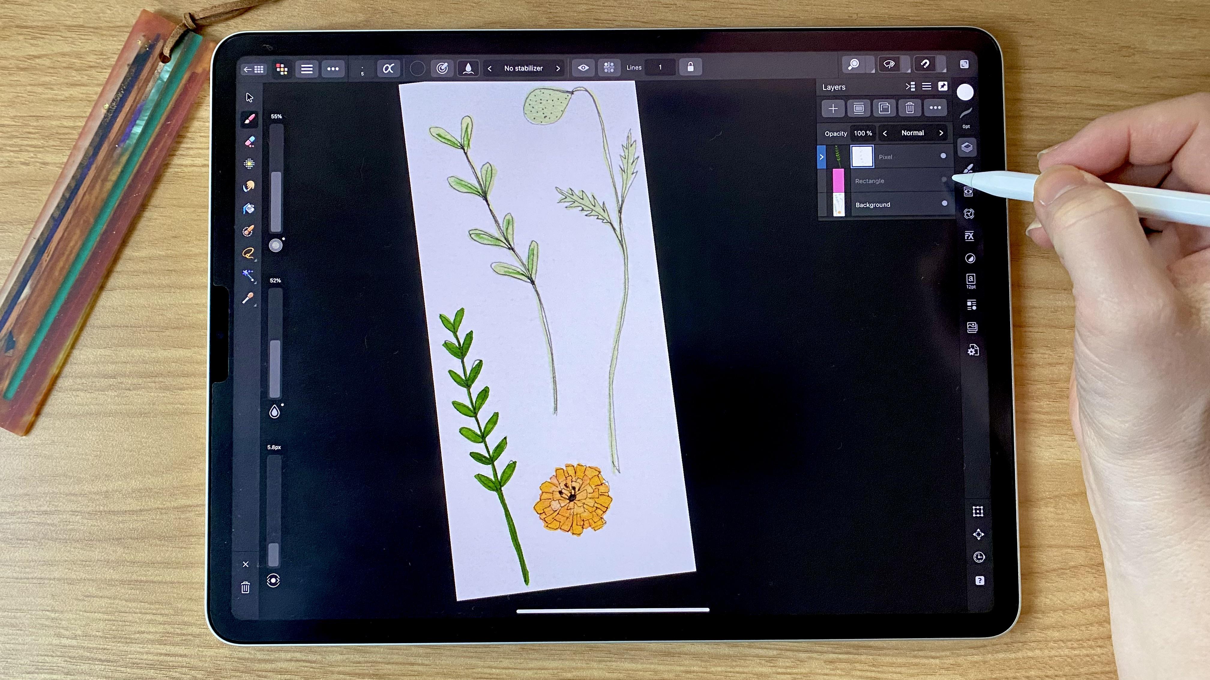 Digitize Your Paintings Master background removal in Affinity Designer 2 iPad Katie Simmons