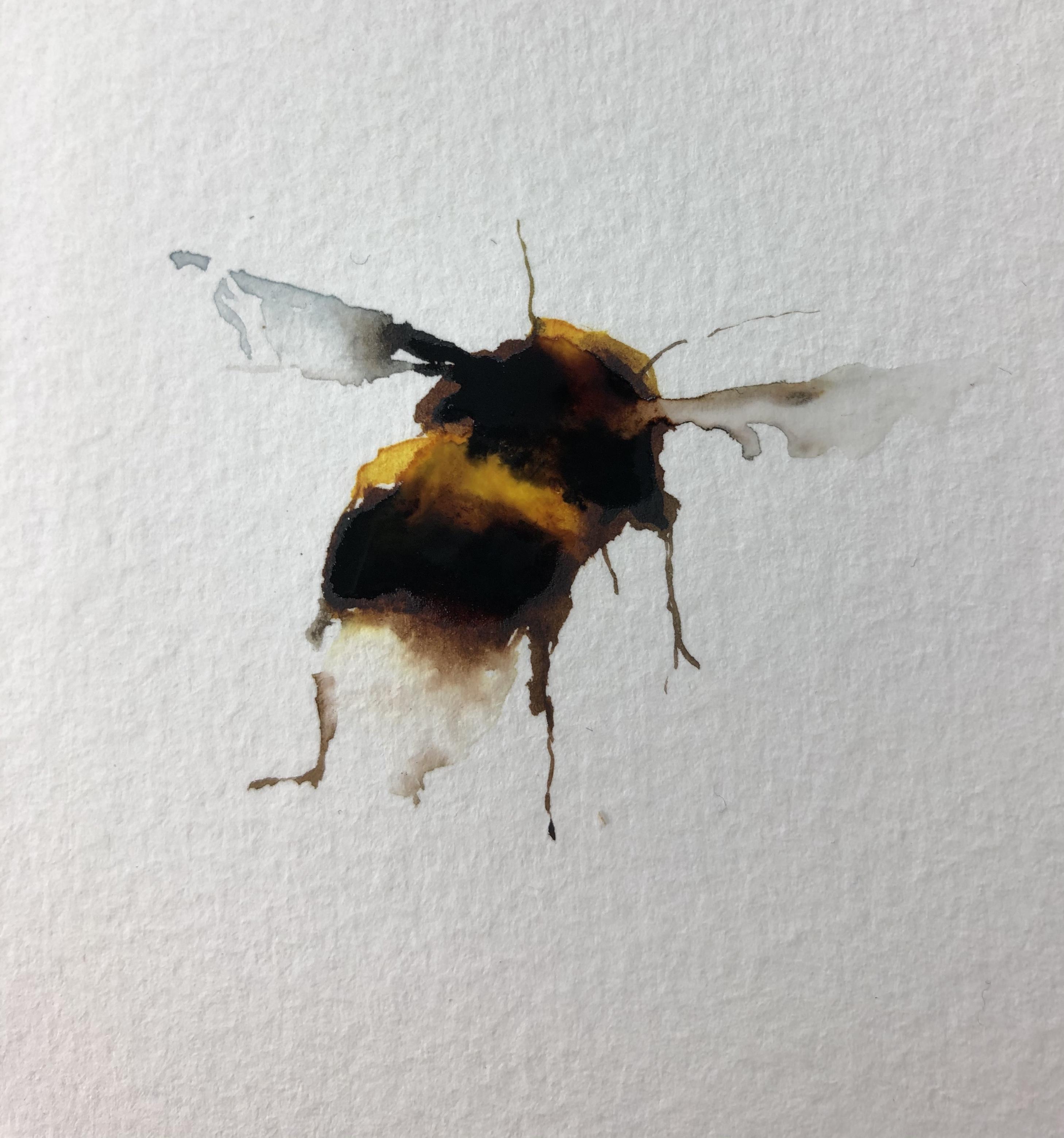 Painting a Loose, Colourful Bumble Bee in Watercolour Sarah Stokes