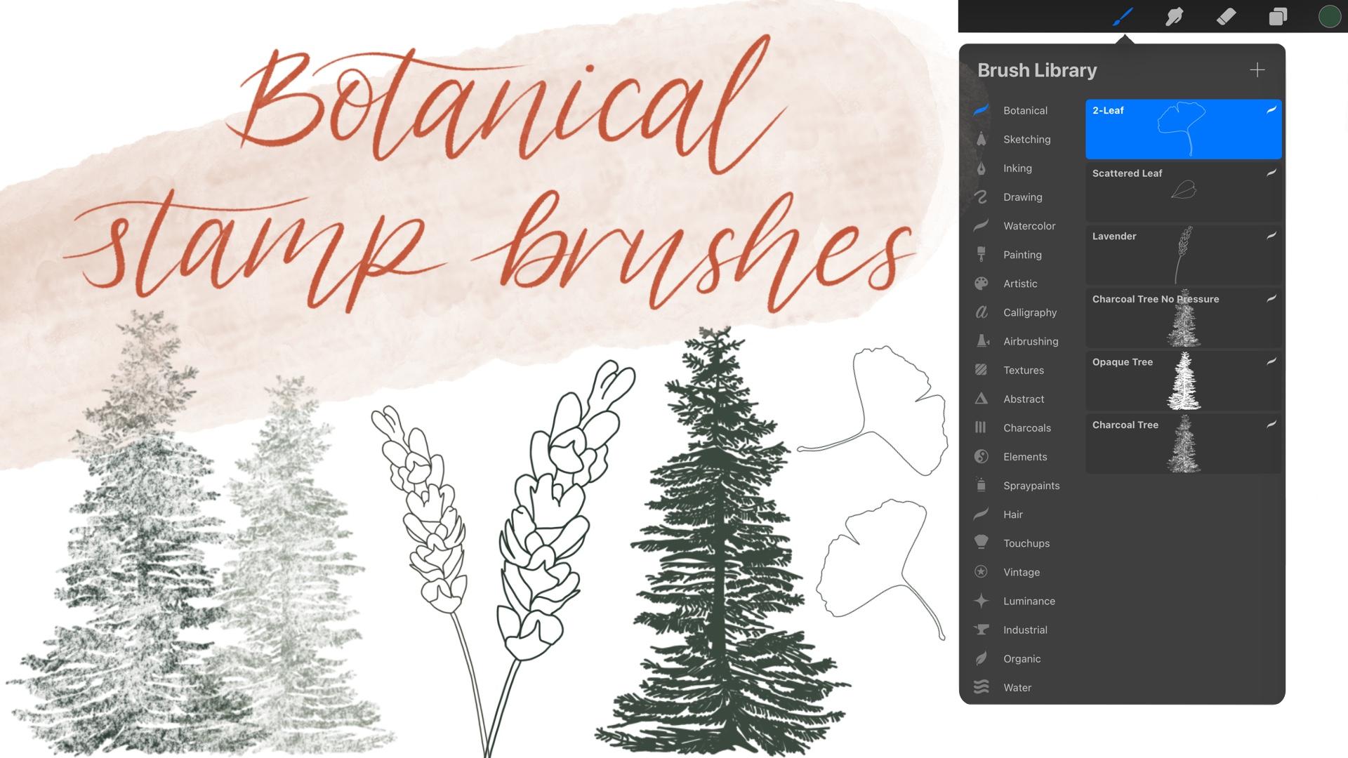 Planner Stamps for Procreate. Plants & Basics