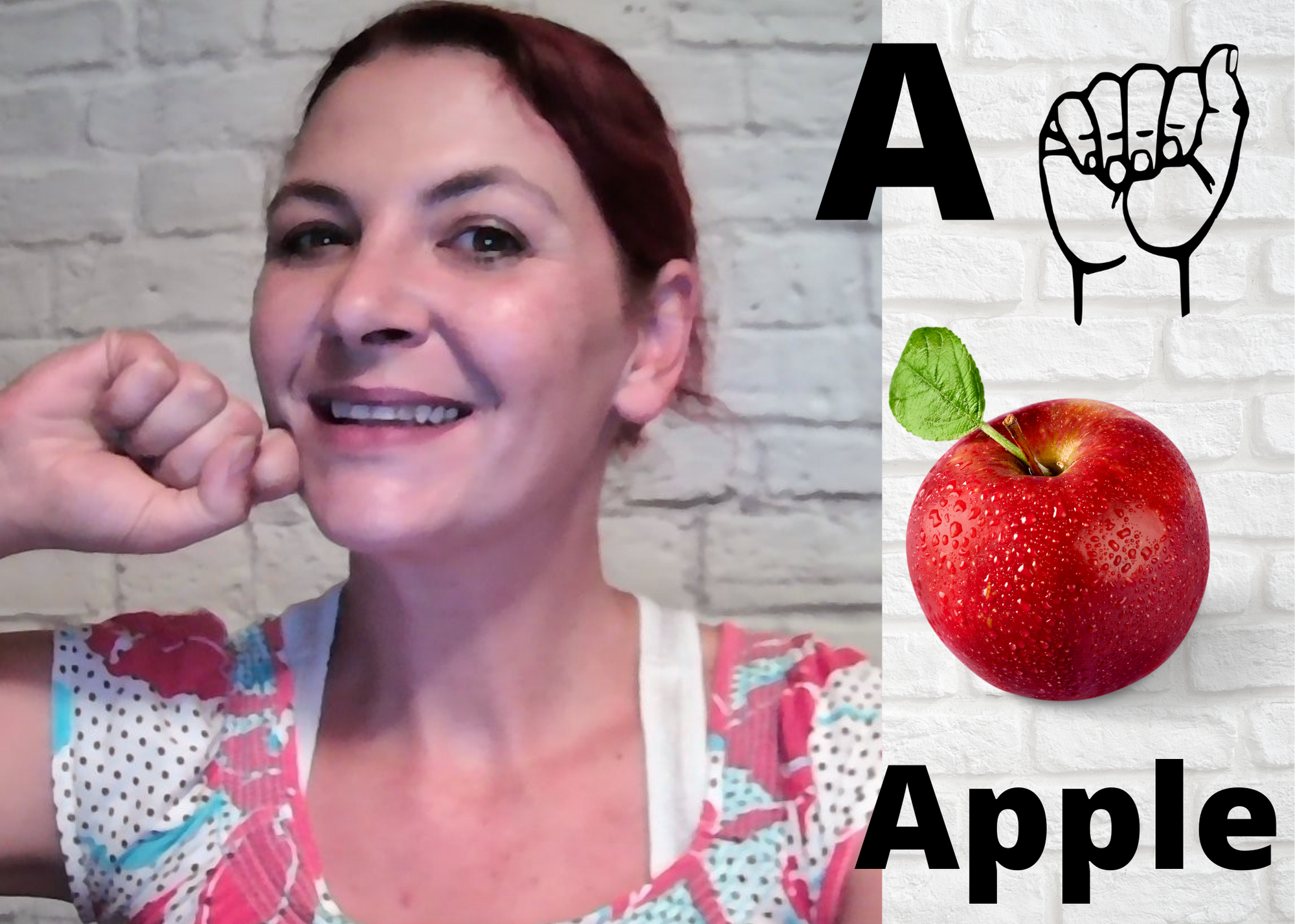 ASL Alphabet plus 26 Basic Signs American Sign Language Camille