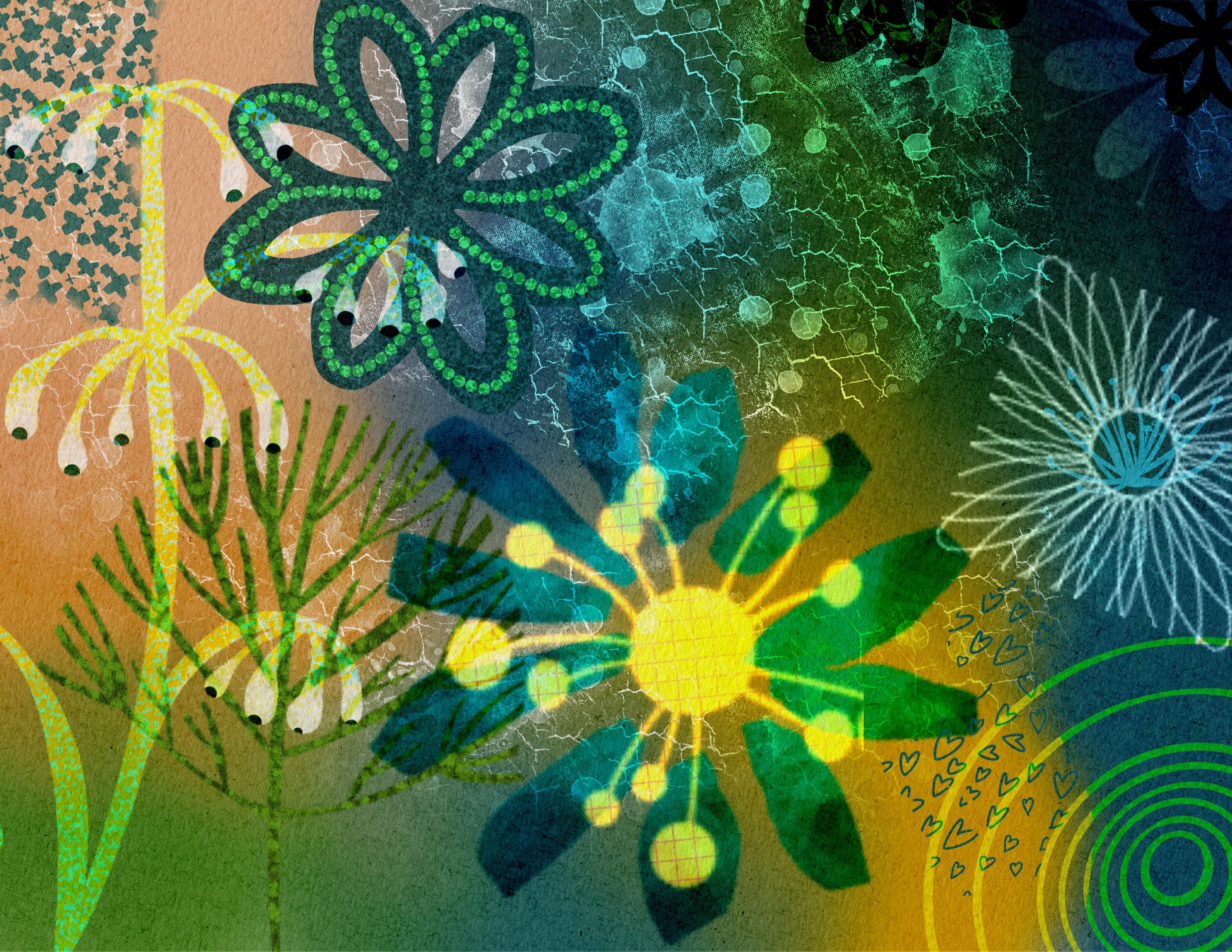 more-projects-from-class-img