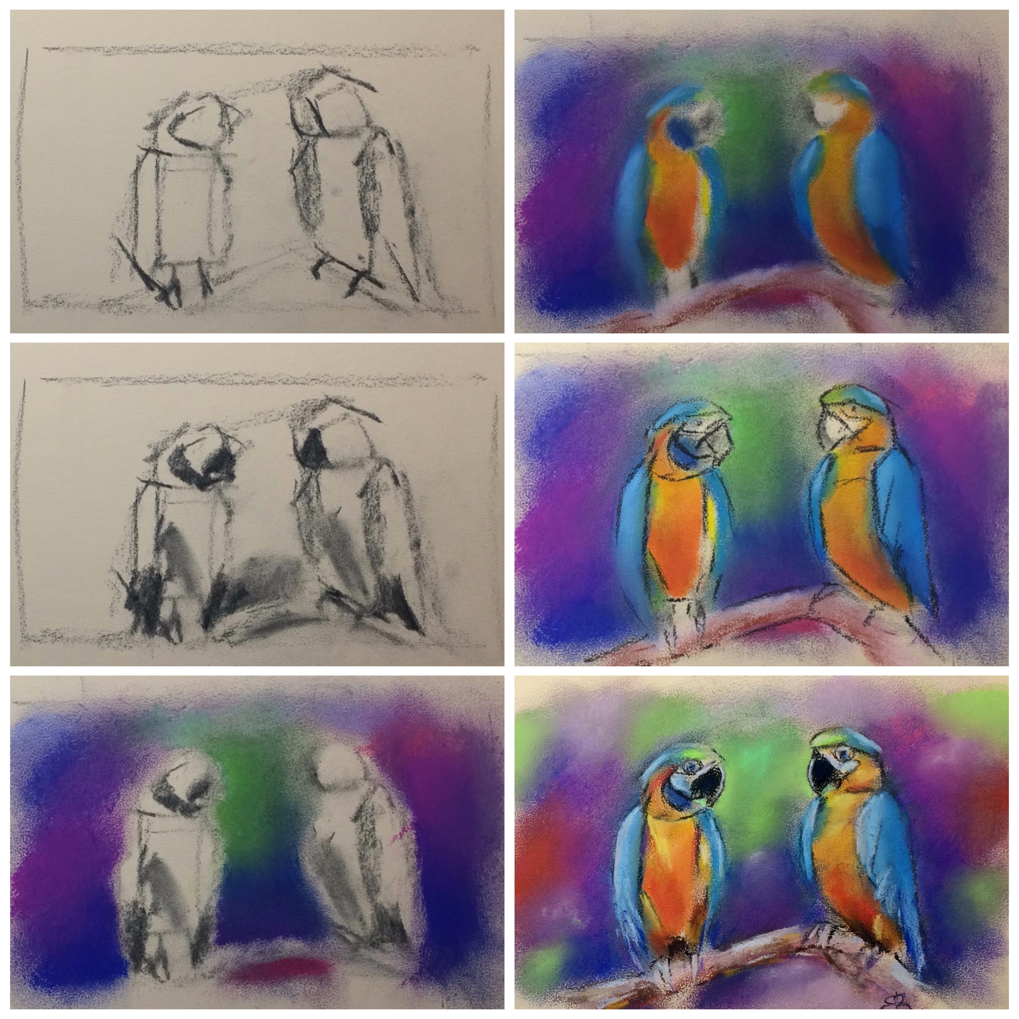 Drawing a parrot with a ballpoint pen., Ekaterina B