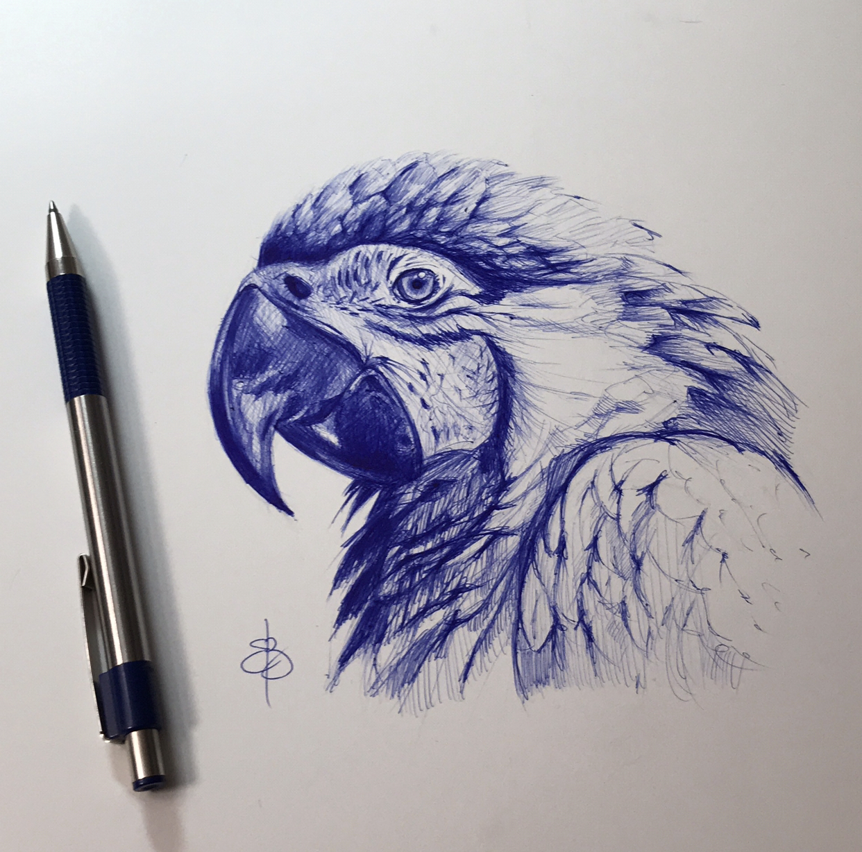 simple ballpoint pen drawings