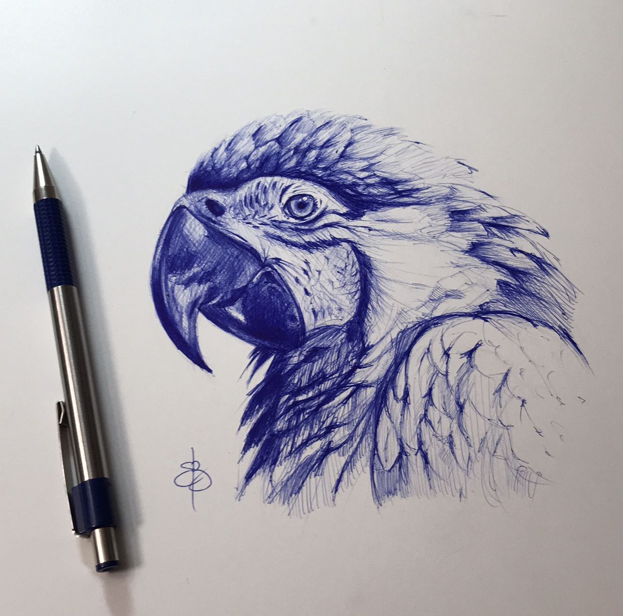 An Incredible Compilation Of 999 Pen Drawings Spectacular Collection 