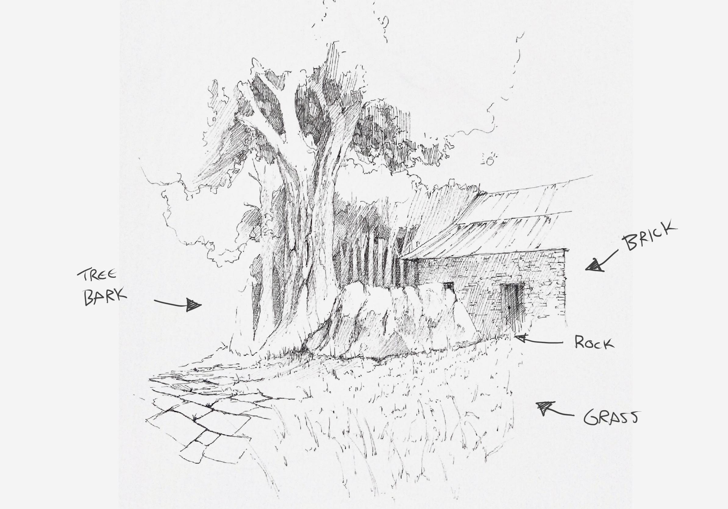 Pen Drawing for Beginners: Permanency, Texture and Composition