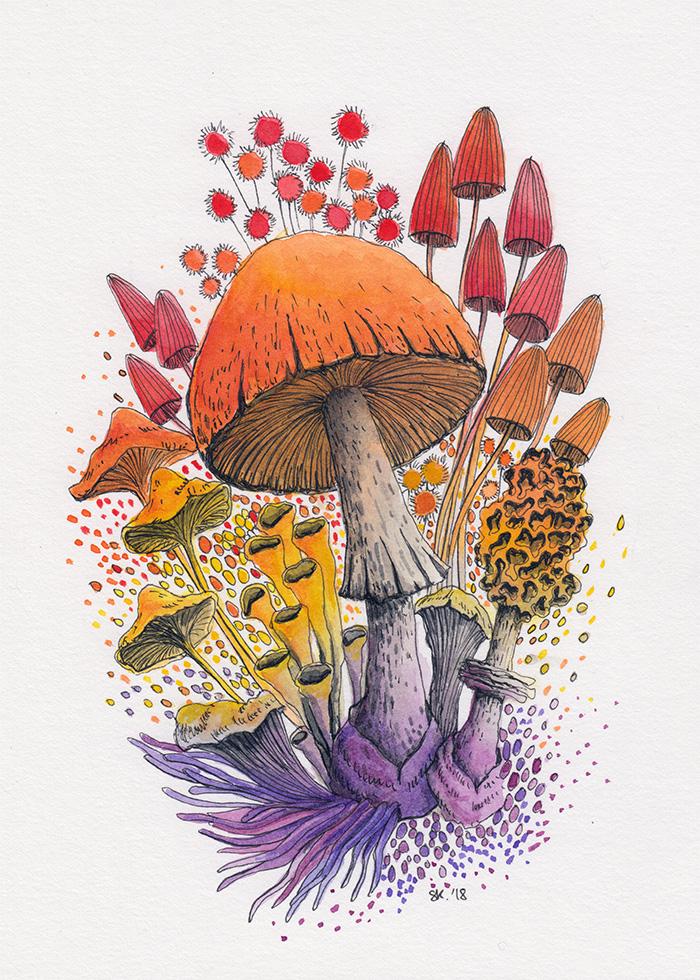 How To Paint Mushrooms with Watercolors and Ink Stephanie Kilgast