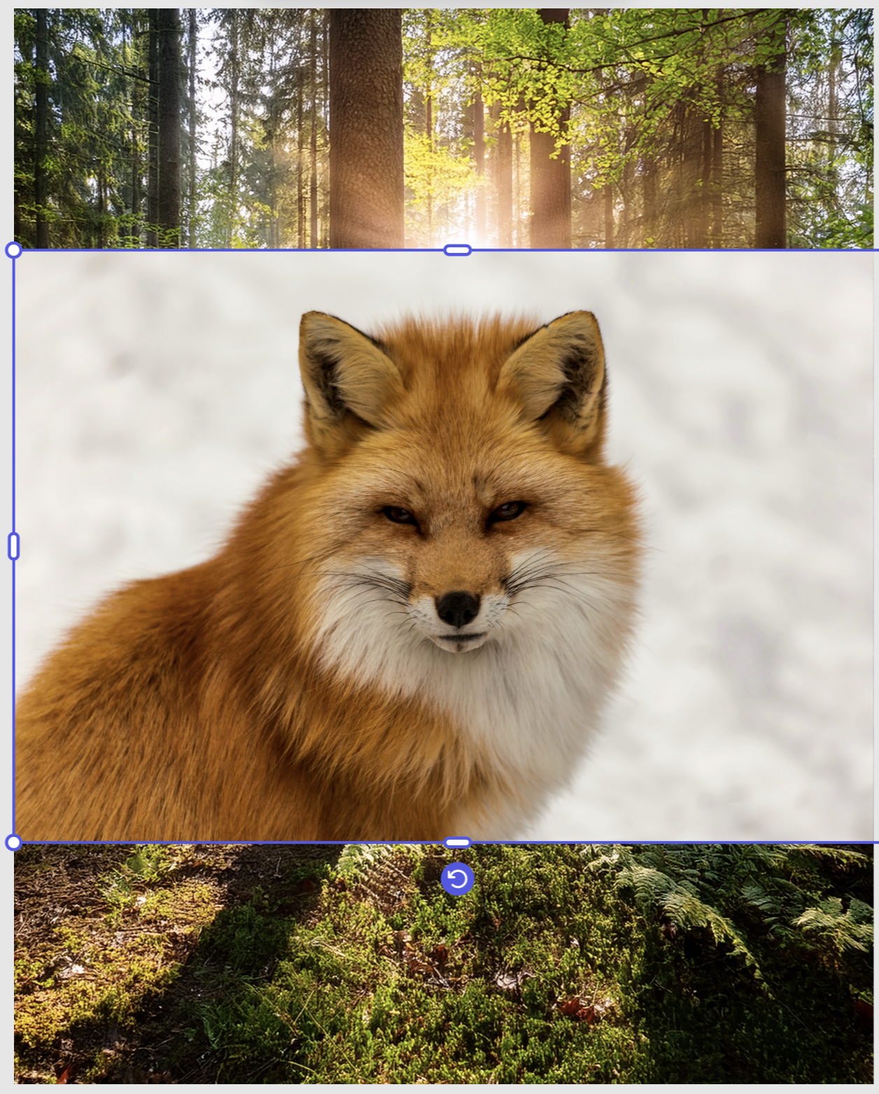 F8e0b394.png