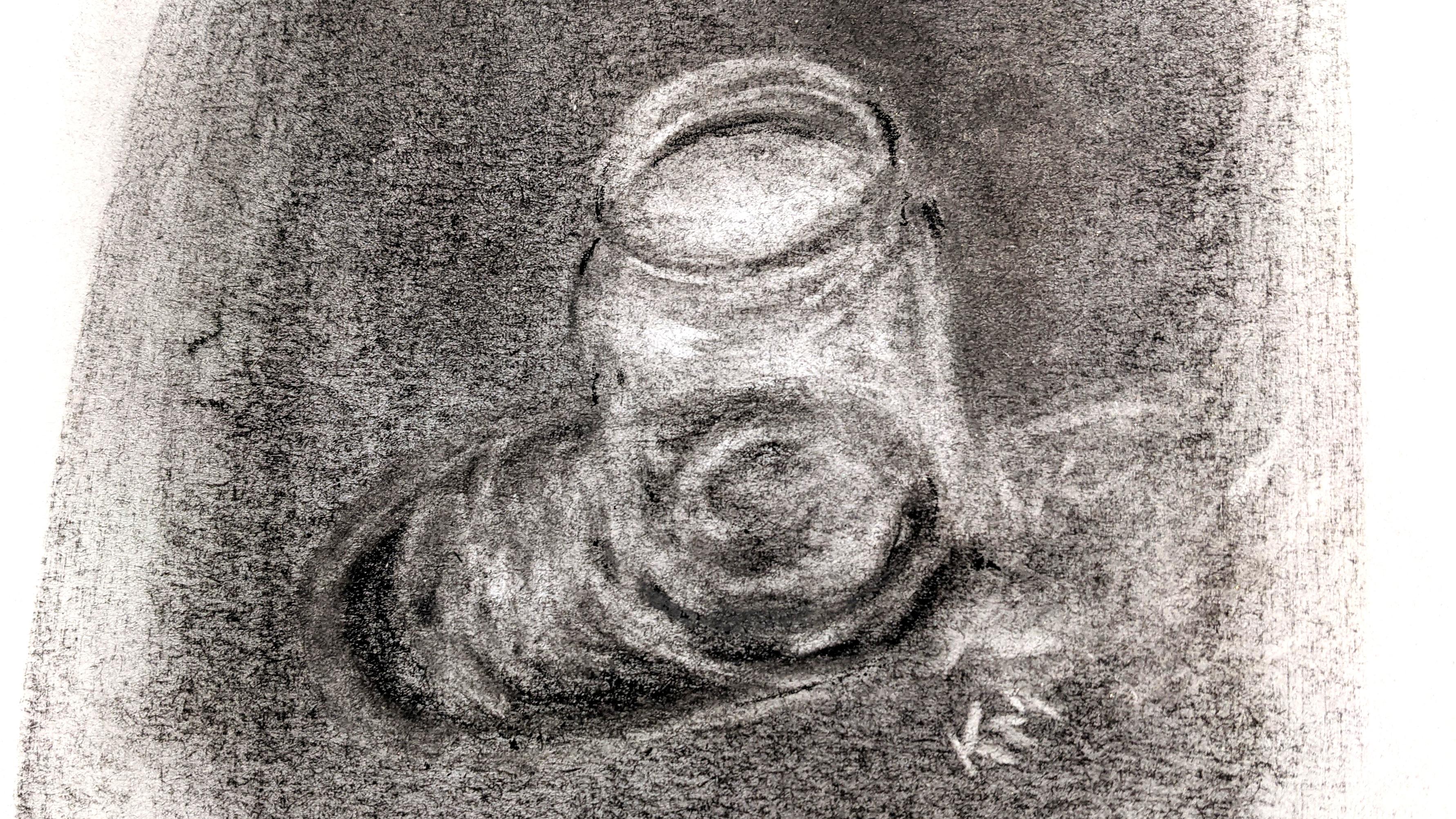 How to Do a Reverse Charcoal Drawing