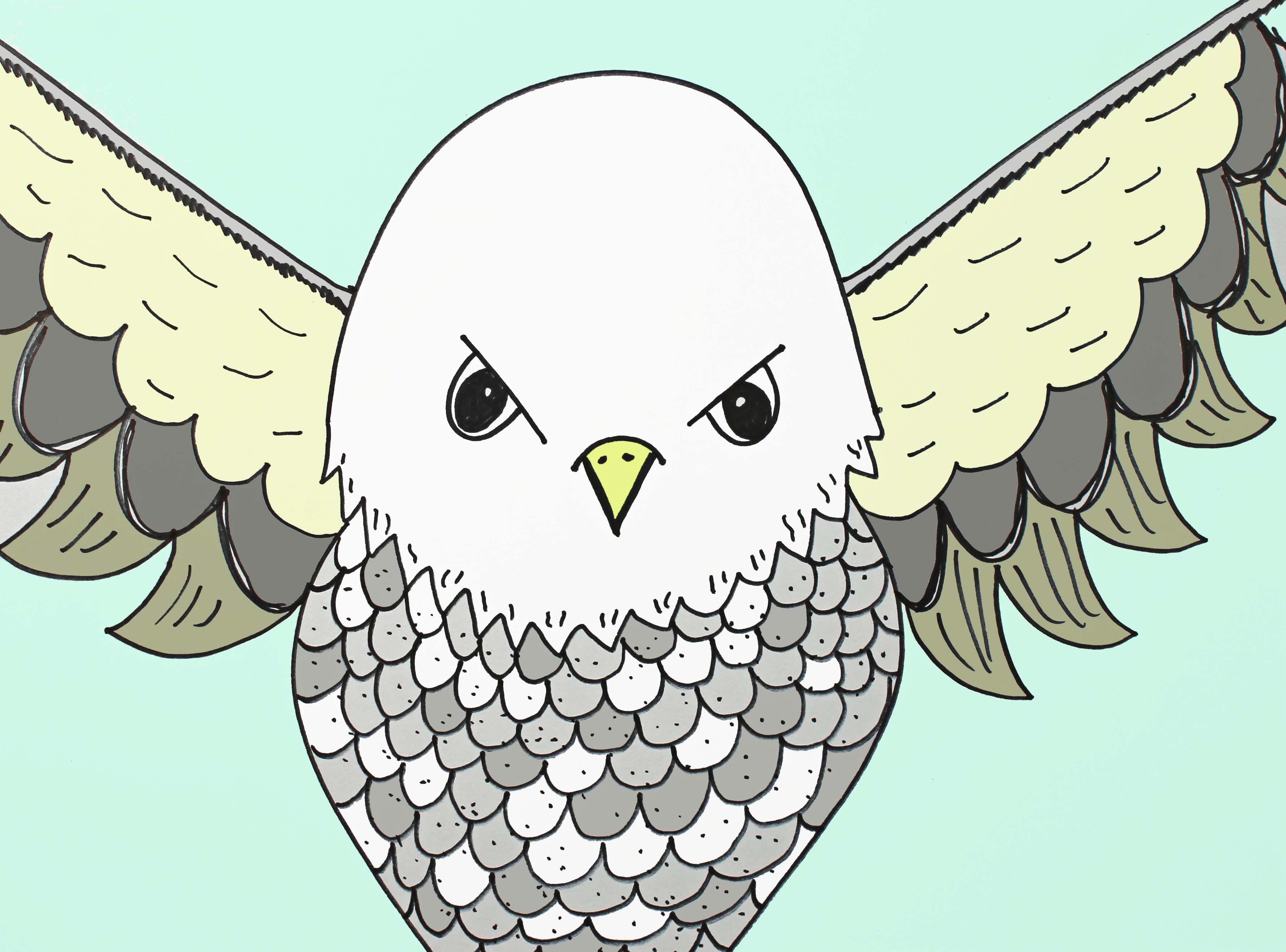 Drawing a Baby Eagle StepByStep for Children and Beginners Em Winn Skillshare