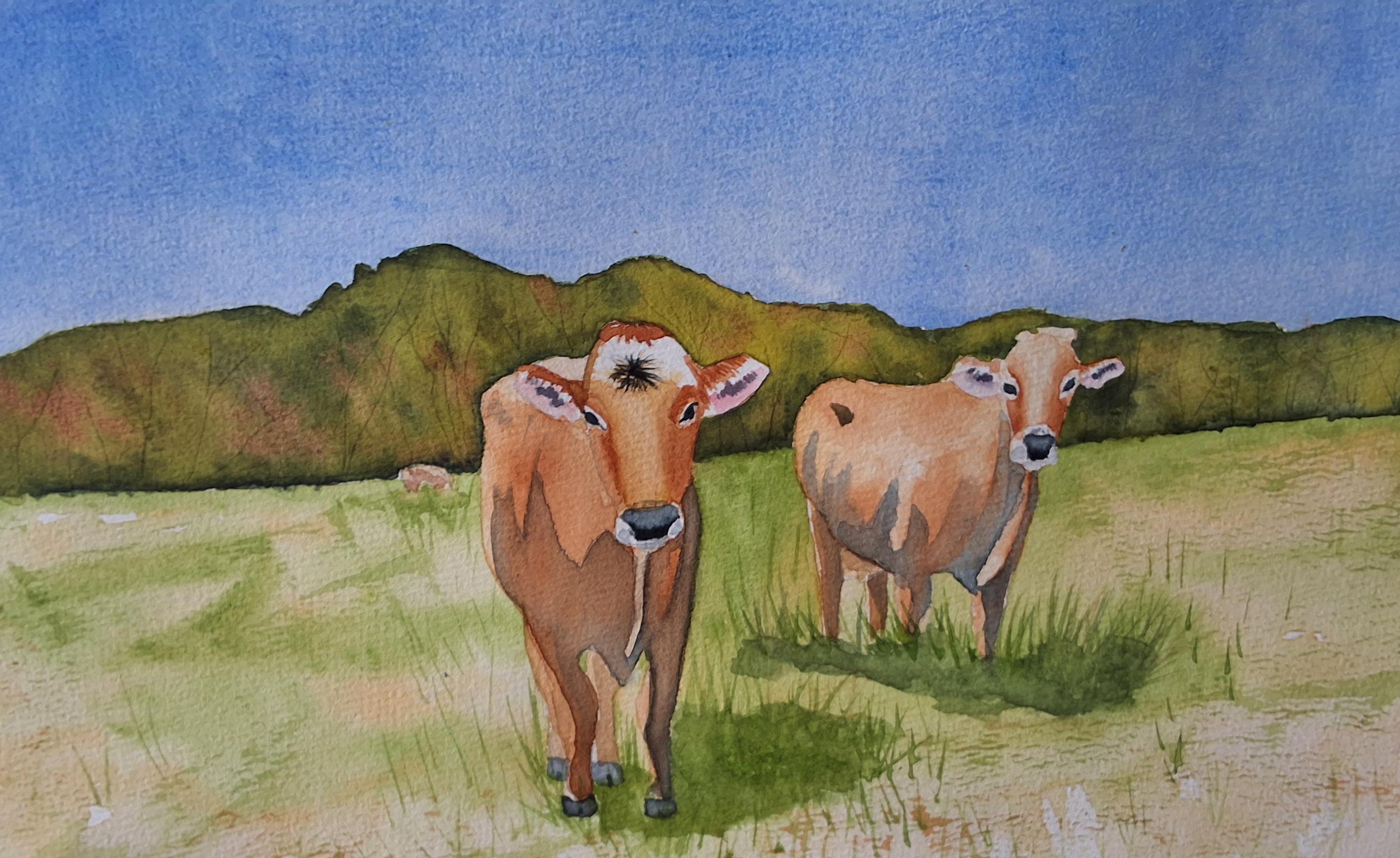 Swiss cows - student project