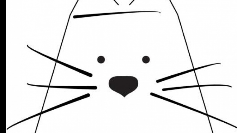 Cat Project