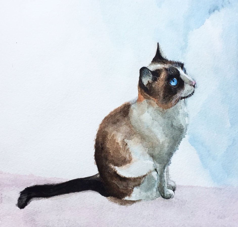 Watercolour cat - student project