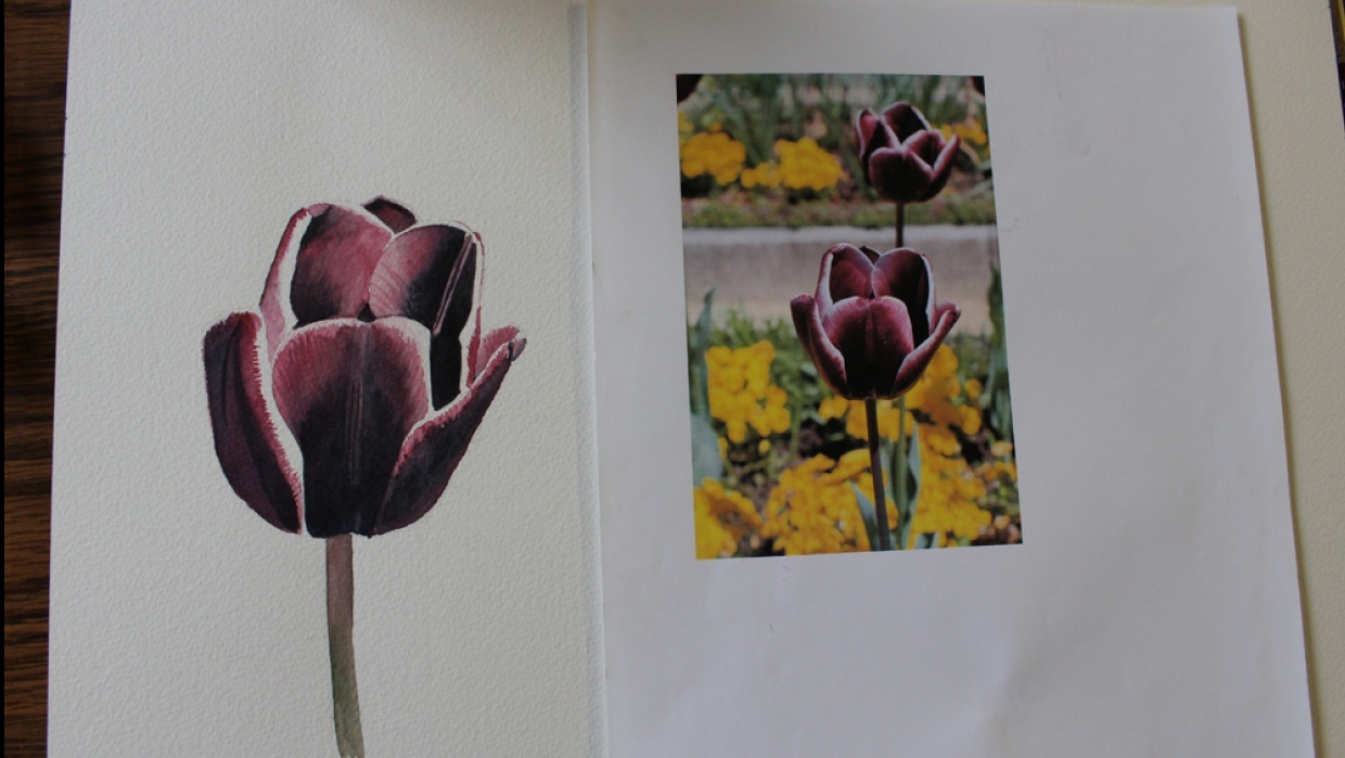 Detailed flower in watercolor - student project