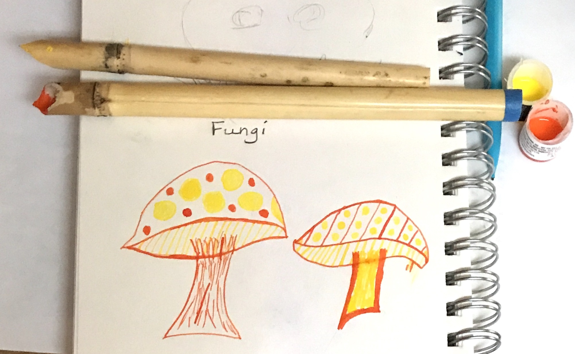 more-projects-from-class-img
