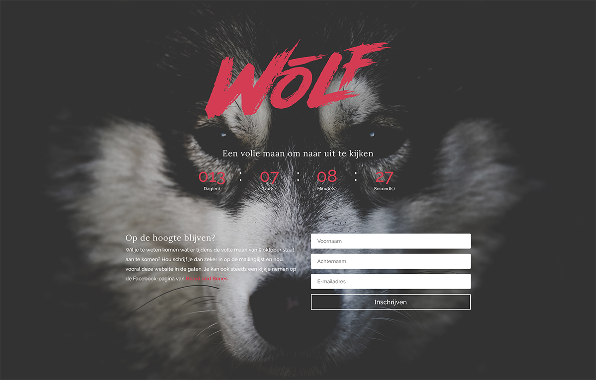 Wolf Fotografie  - student project