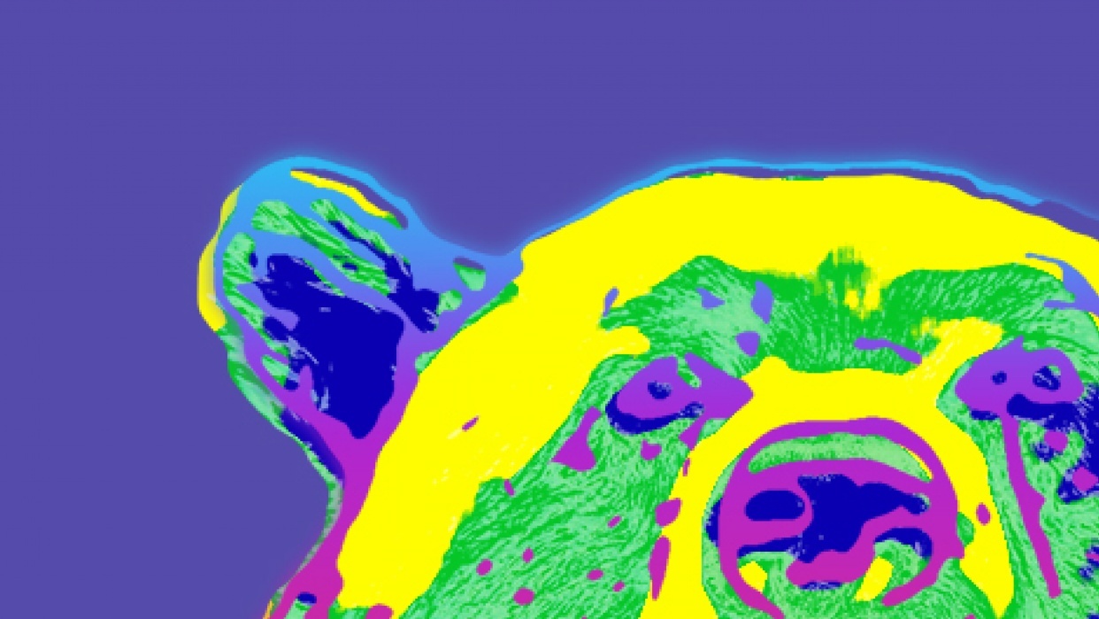Warhol style animal - student project